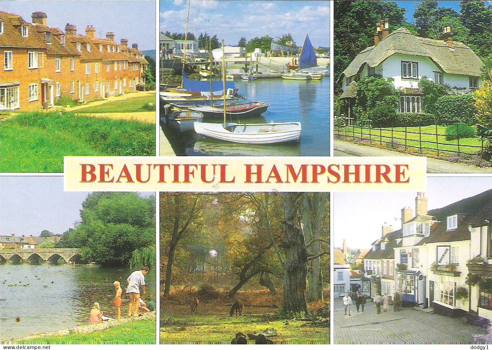 SCENES FROM HAMPSHIRE. USED POSTCARD M8 - Other & Unclassified