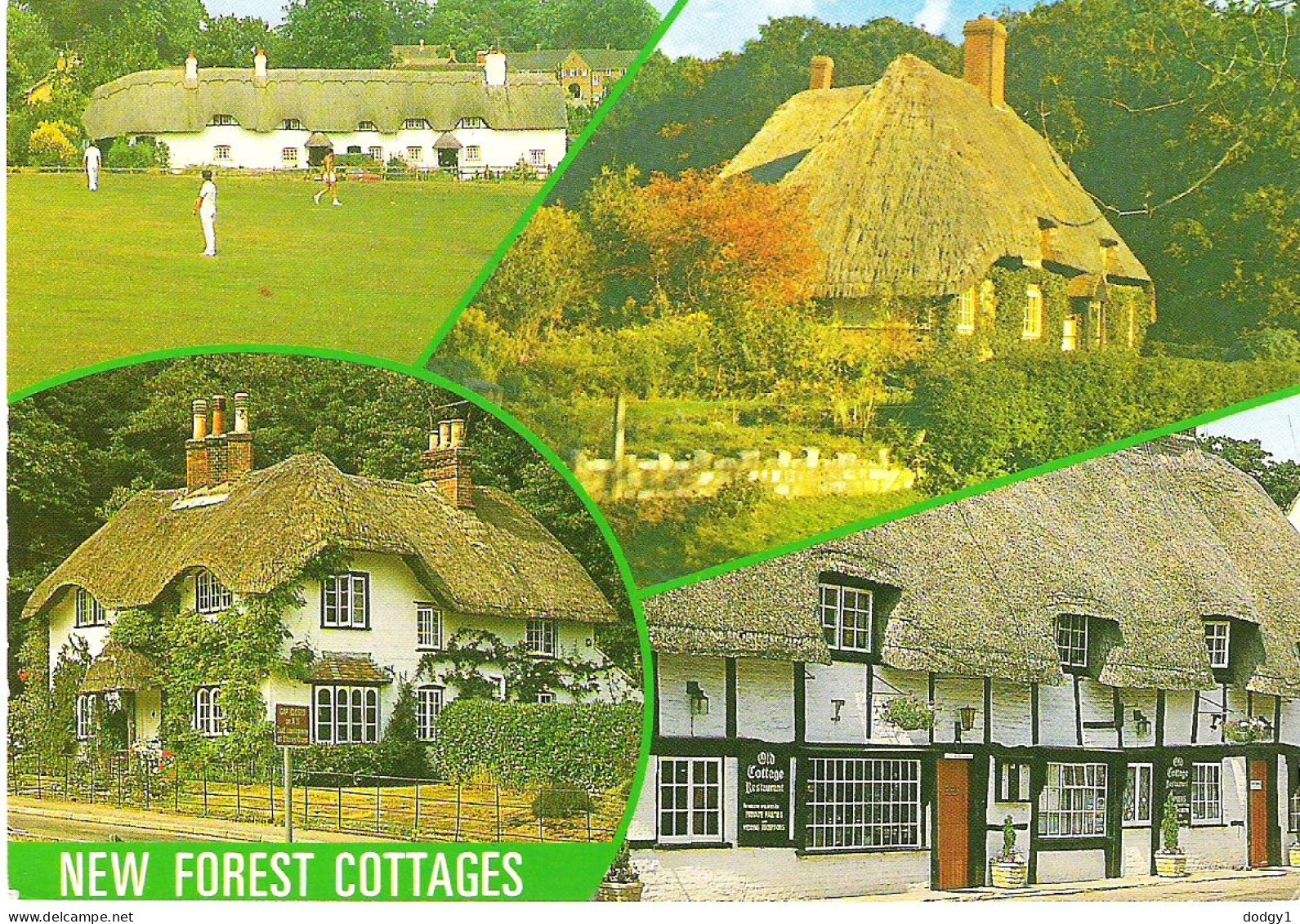 NEW FOREST COTTAGES, HAMPSHIRE. USED POSTCARD M8 - Sonstige & Ohne Zuordnung