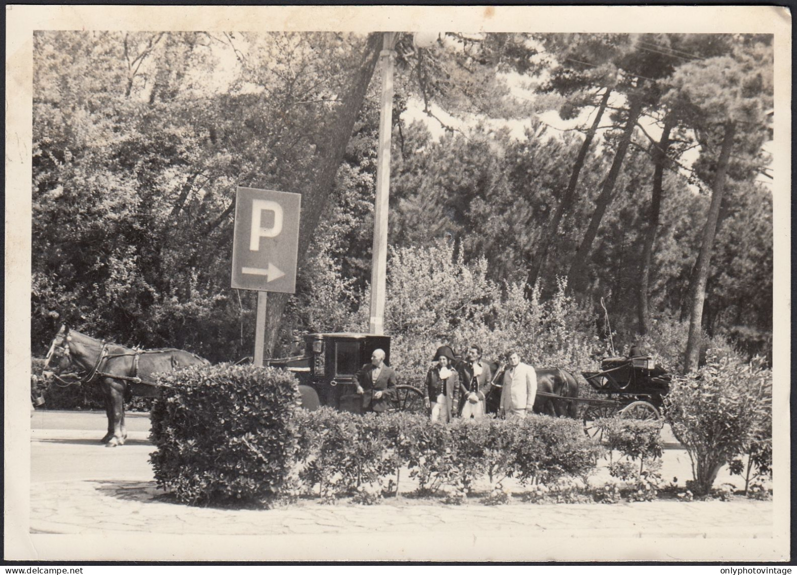 Tirrenia 1950 - Foto Marcello - Carrozze Nel Parcheggio - Foto D'epoca - Lugares