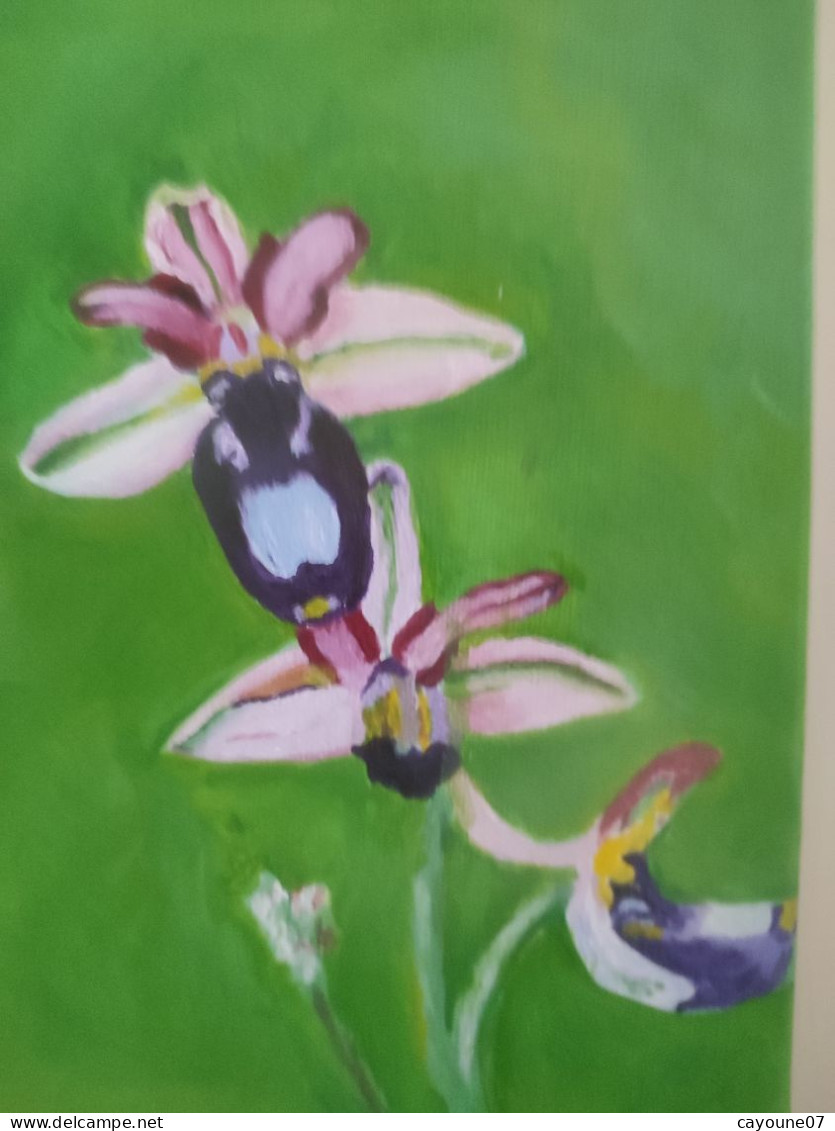 Jacqueline MARIE G (XXème) "Nymphéa Cocus Ophrys "suite de trois acryliques sur toile