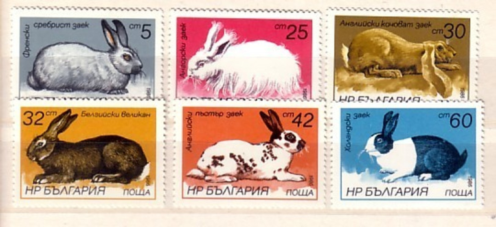 1986 Fauna Rabbits  6v.-MNH  BULGARIA  / Bulgarie - Unused Stamps