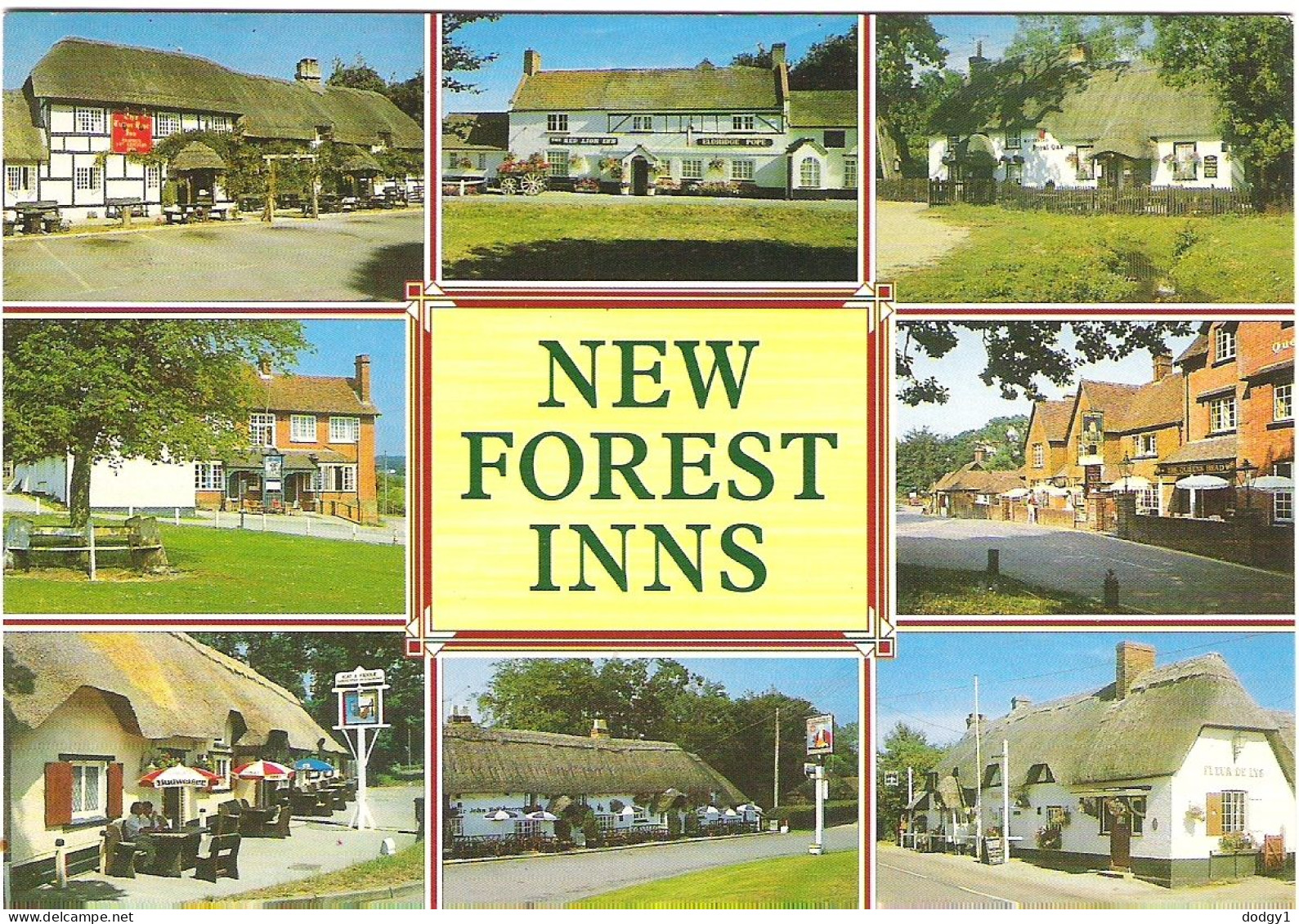 NEW FOREST INNS, HAMPSHIRE. UNUSED POSTCARD M9 - Sonstige & Ohne Zuordnung