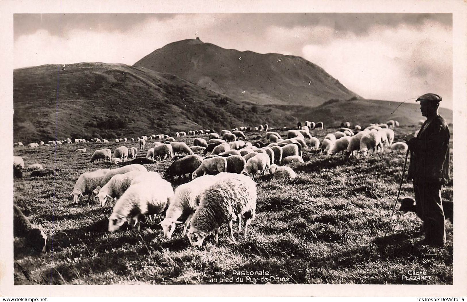 FRANCE - Pastorale Au Pied Du Puy De Dôme - Troupeau De Moutons - Carte Postale Ancienne - Autres & Non Classés