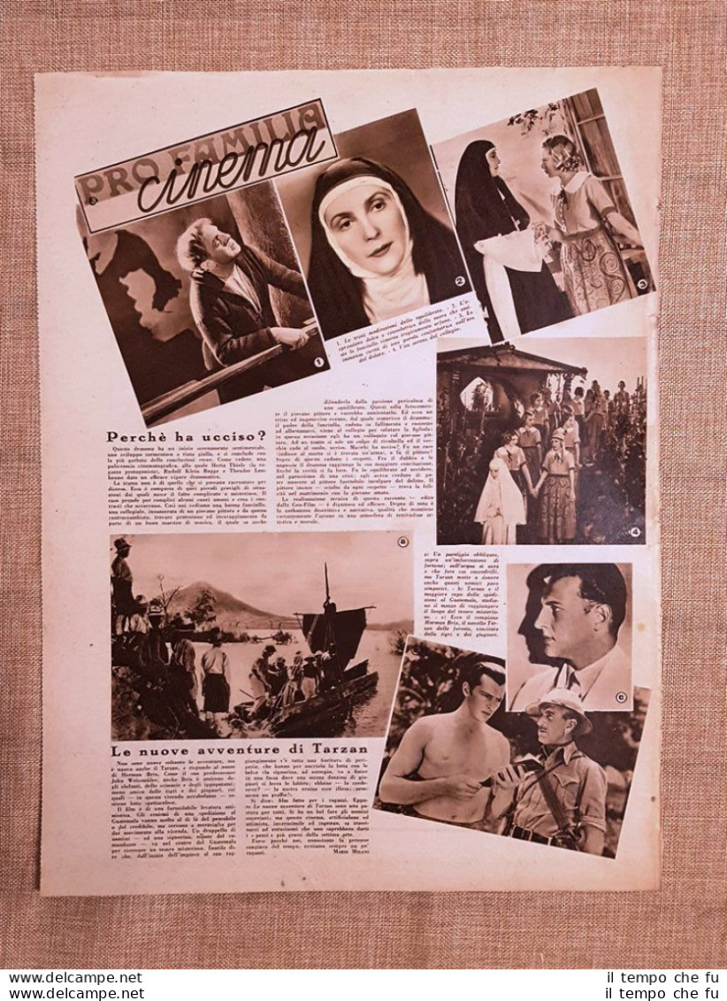 Film Perché Ha Ucciso Le Nuove Avventure Di Tarzan Illustrazione Di Cinema 1937 - Other & Unclassified