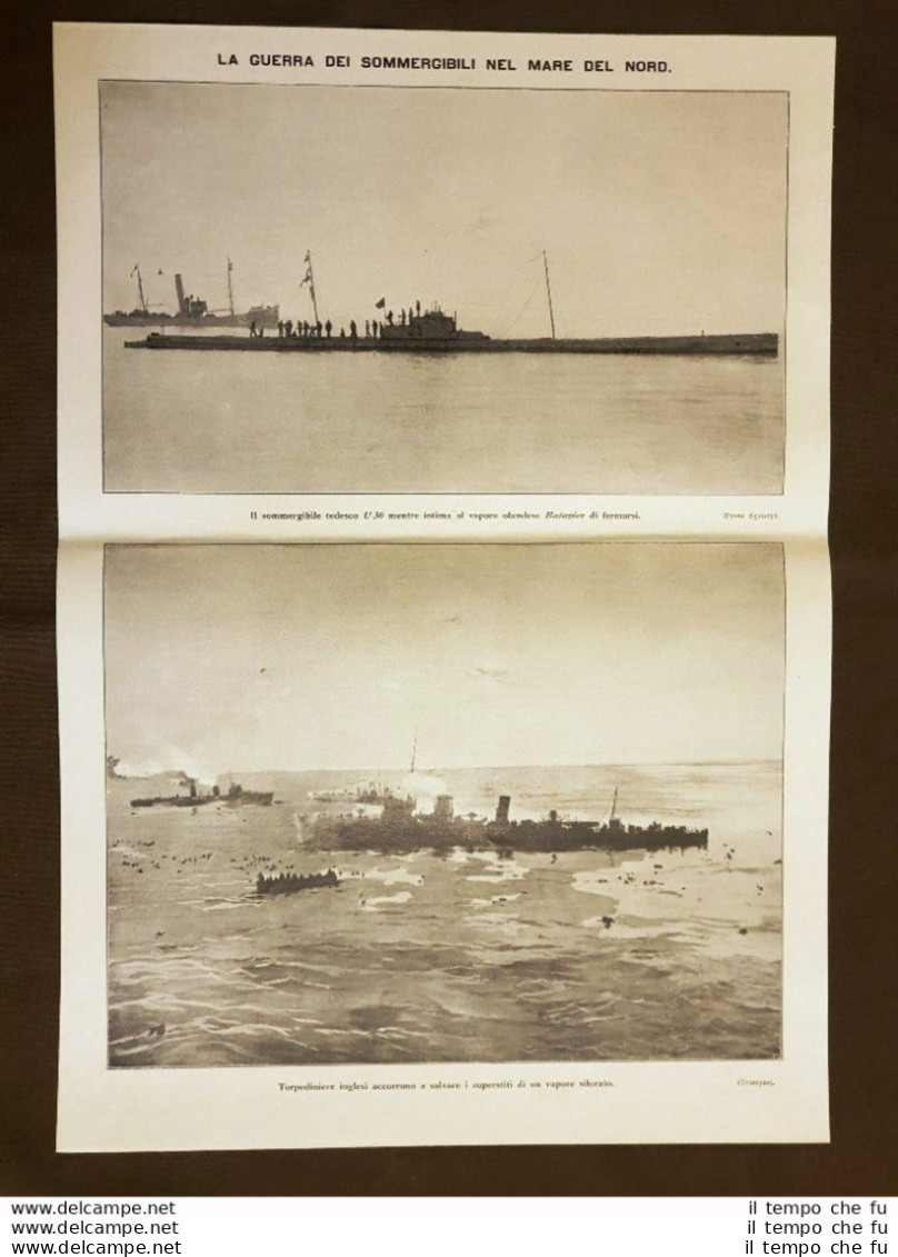 Guerra Dei Sommergibili Nel Mare Del Nord Nel 1915 WW1 Prima Guerra Mondiale - Sonstige & Ohne Zuordnung