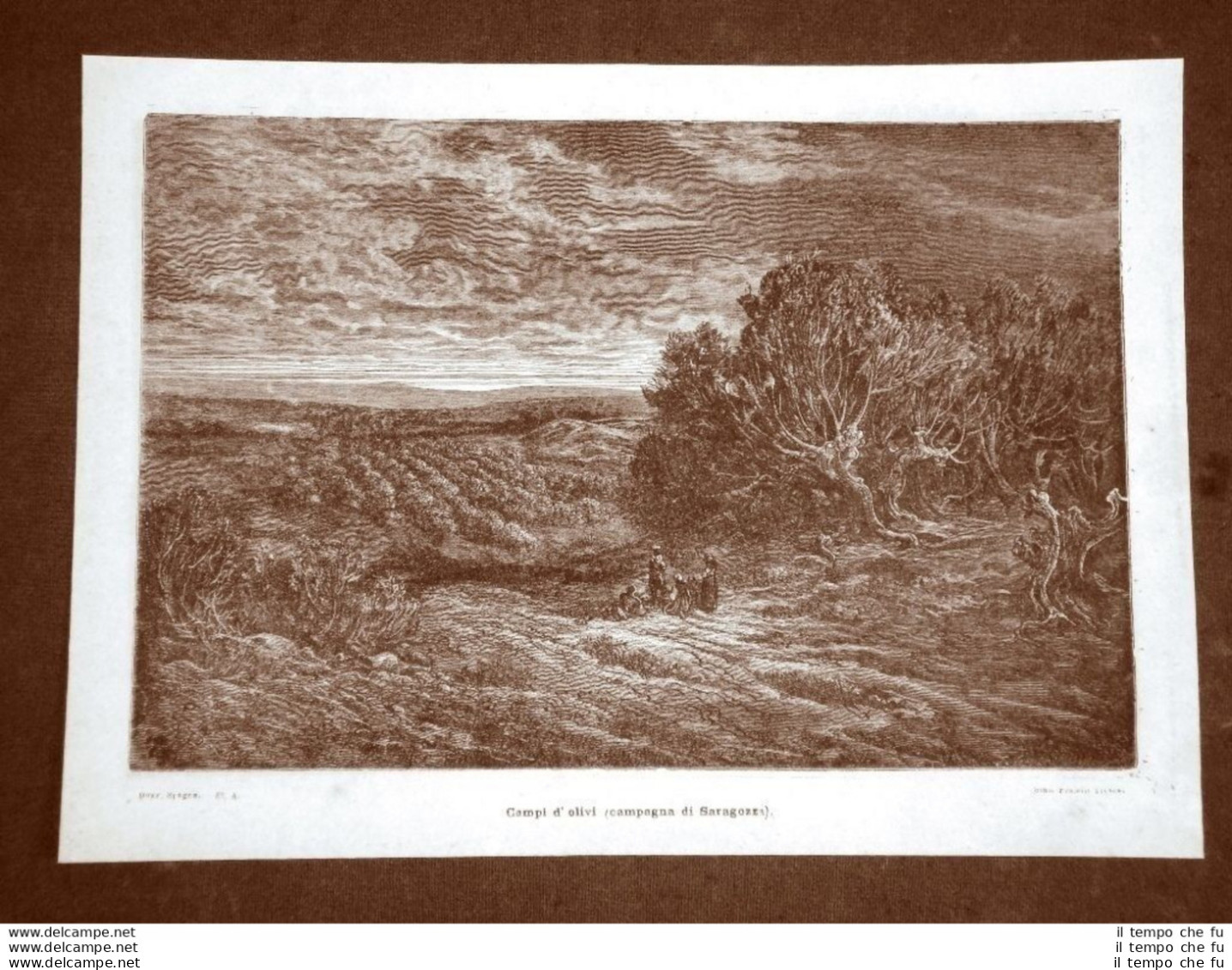 Incisione Di Gustave Dorè Del 1874 Campi D'olivi Saragozza Spagna Davillier - Antes 1900