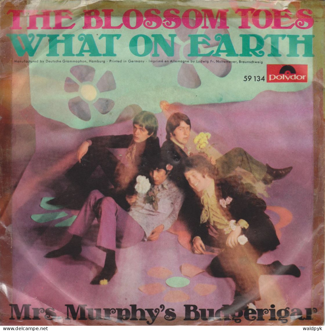 BLOSSOM TOES - What On Earth - Andere - Engelstalig