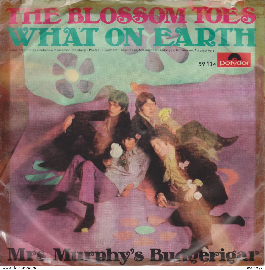BLOSSOM TOES - What On Earth - Sonstige - Englische Musik