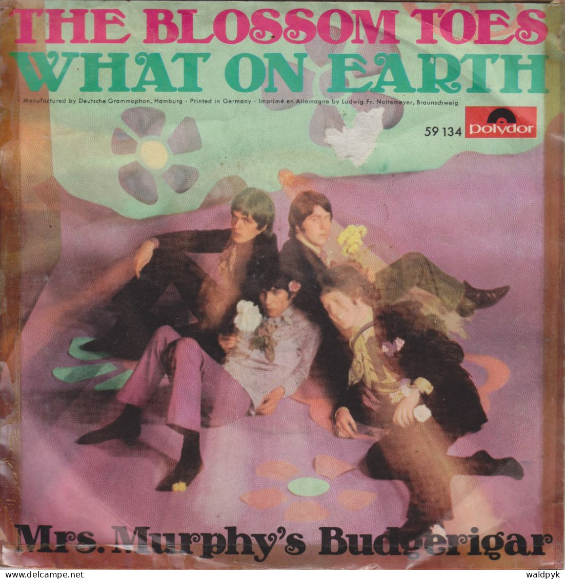 BLOSSOM TOES - What On Earth - Andere - Engelstalig