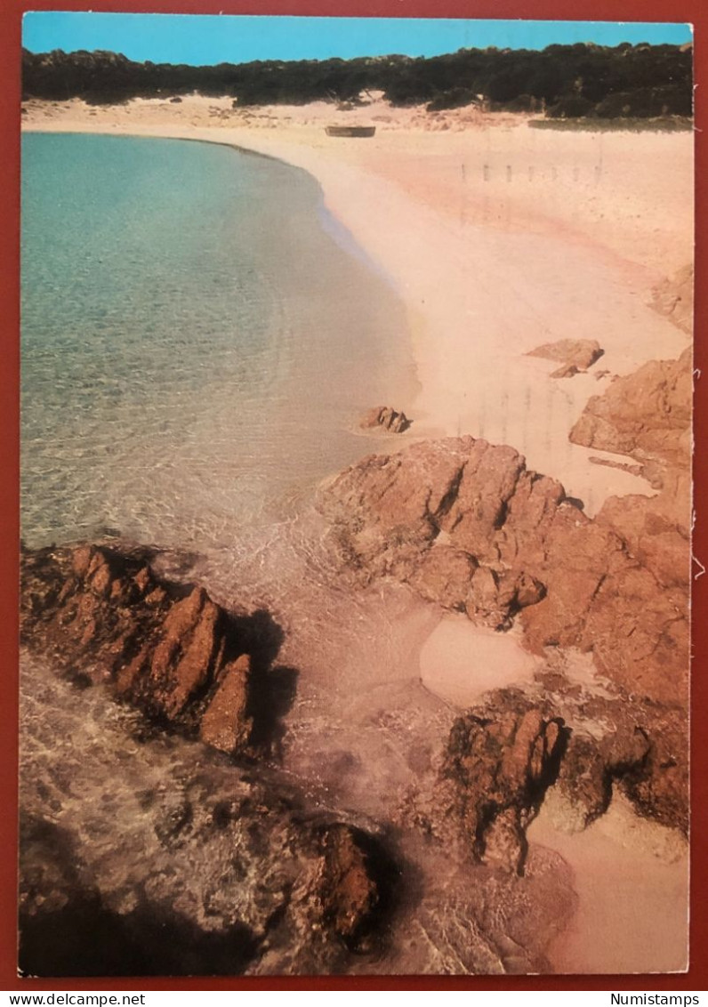 Arcipelago Di La Maddalena - Isola Budelli - La Spiaggia Rosa - 1981 (c646) - Sassari