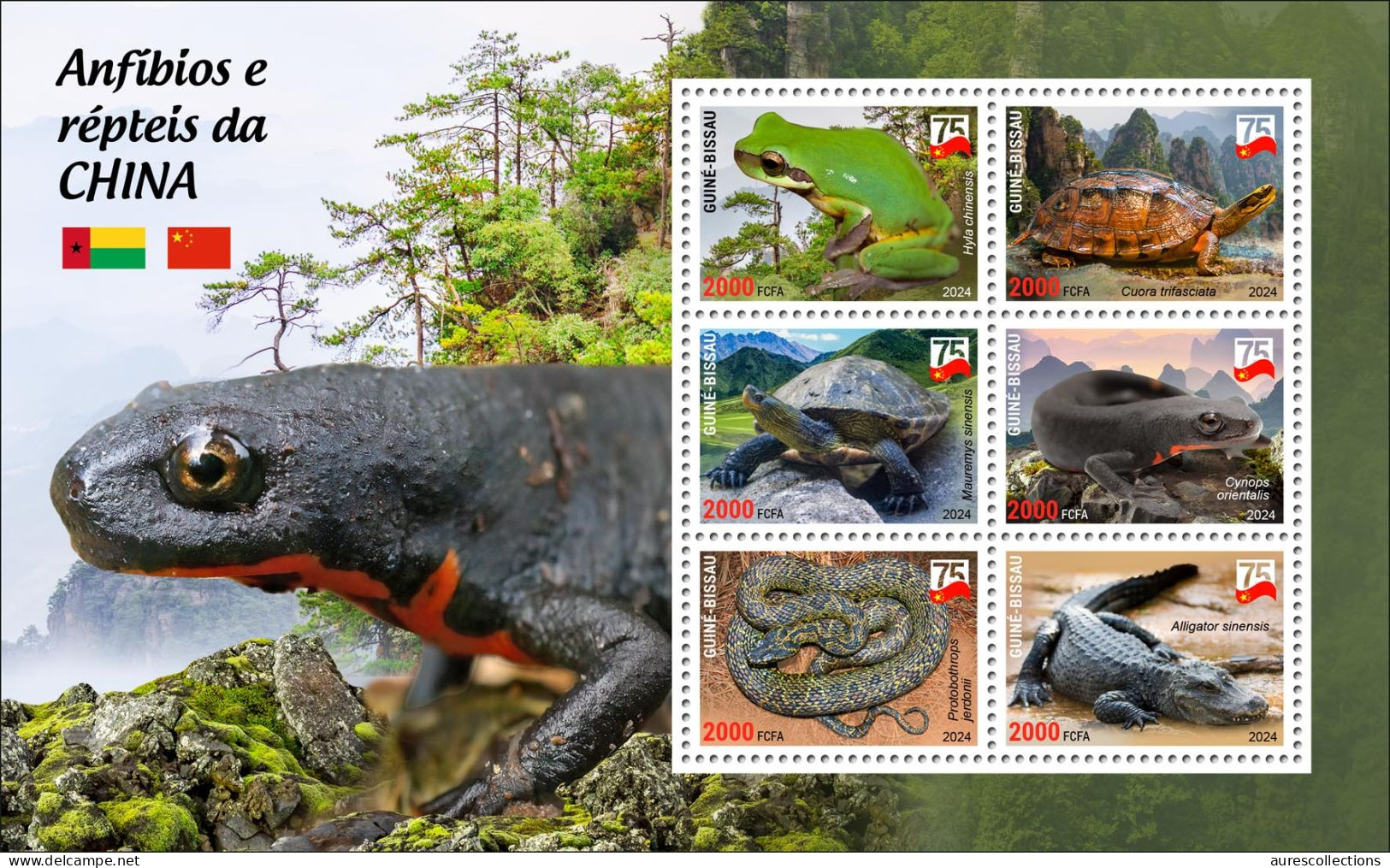 GUINEA BISSAU 2024 MS 6V - CHINA AMPHIBIANS & REPTILES - FROG FROGS TURTLE TURTLES SNAKE SNAKES CROCODILE NEWT - MNH - Serpientes