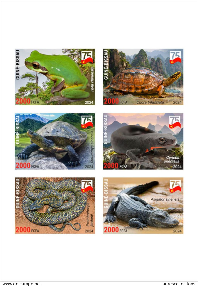GUINEA BISSAU 2024 DELUXE PROOF 6V - CHINA AMPHIBIANS & REPTILES FROG FROGS TURTLE TURTLES SNAKE SNAKES CROCODILE NEWT - Frösche