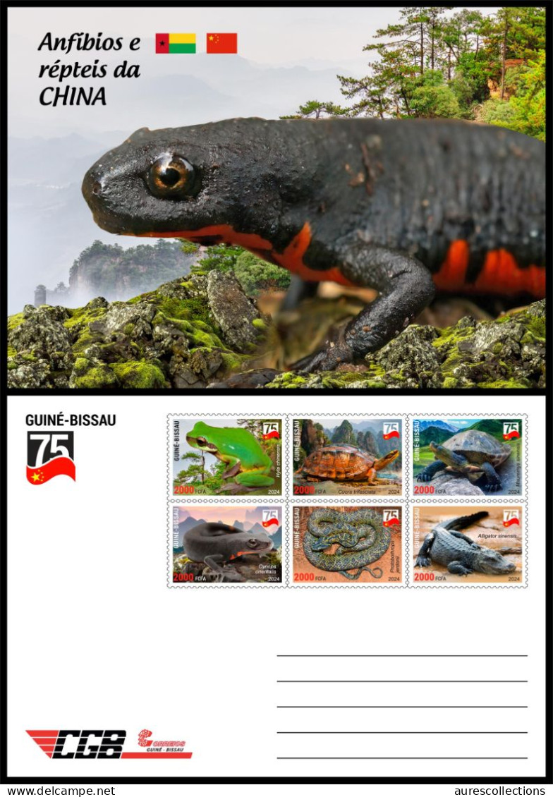 GUINEA BISSAU 2024 STATIONERY CARD 6V - CHINA AMPHIBIANS & REPTILES FROG FROGS TURTLE TURTLES SNAKES CROCODILE NEWT - Frogs