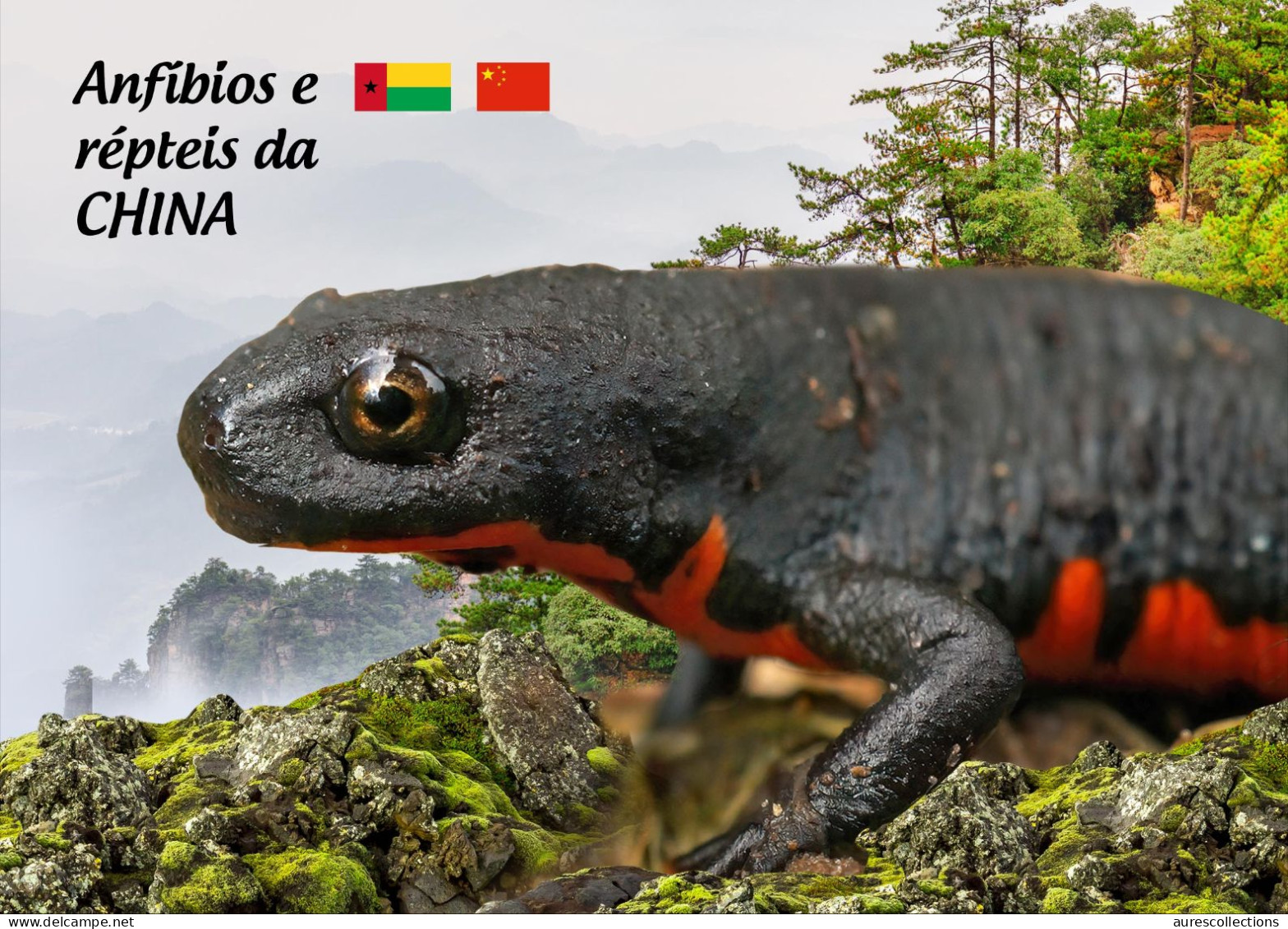 GUINEA BISSAU 2024 STATIONERY CARD 6V - CHINA AMPHIBIANS & REPTILES FROG FROGS TURTLE TURTLES SNAKES CROCODILE NEWT - Kikkers