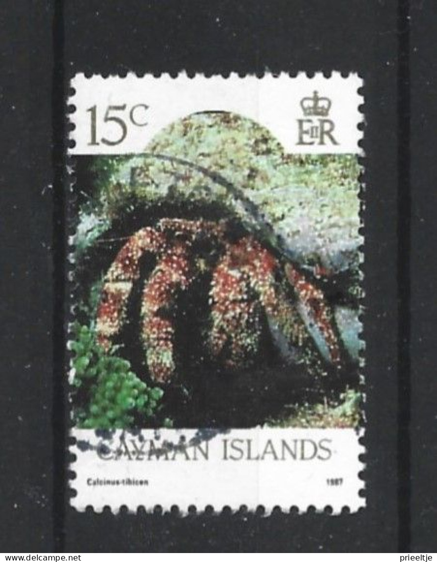 Cayman Islands 1986 Marine Life Y.T. 588 (0) - Caimán (Islas)
