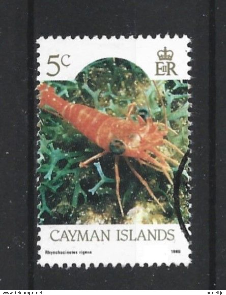 Cayman Islands 1986 Marine Life Y.T. 586 (0) - Caimán (Islas)