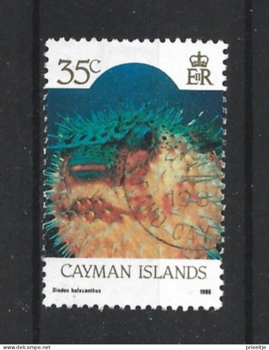 Cayman Islands 1986 Marine Life Y.T. 591 (0) - Cayman (Isole)