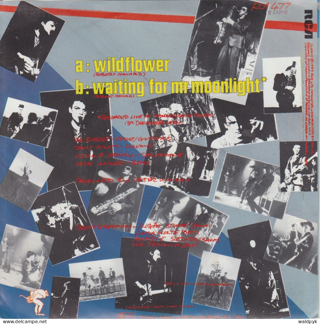 THE BLOW MONKEYS - Wildflower - Andere - Engelstalig