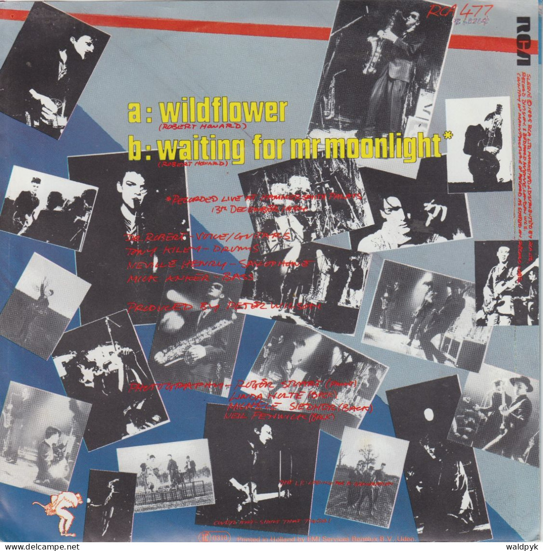 THE BLOW MONKEYS - Wildflower - Autres - Musique Anglaise