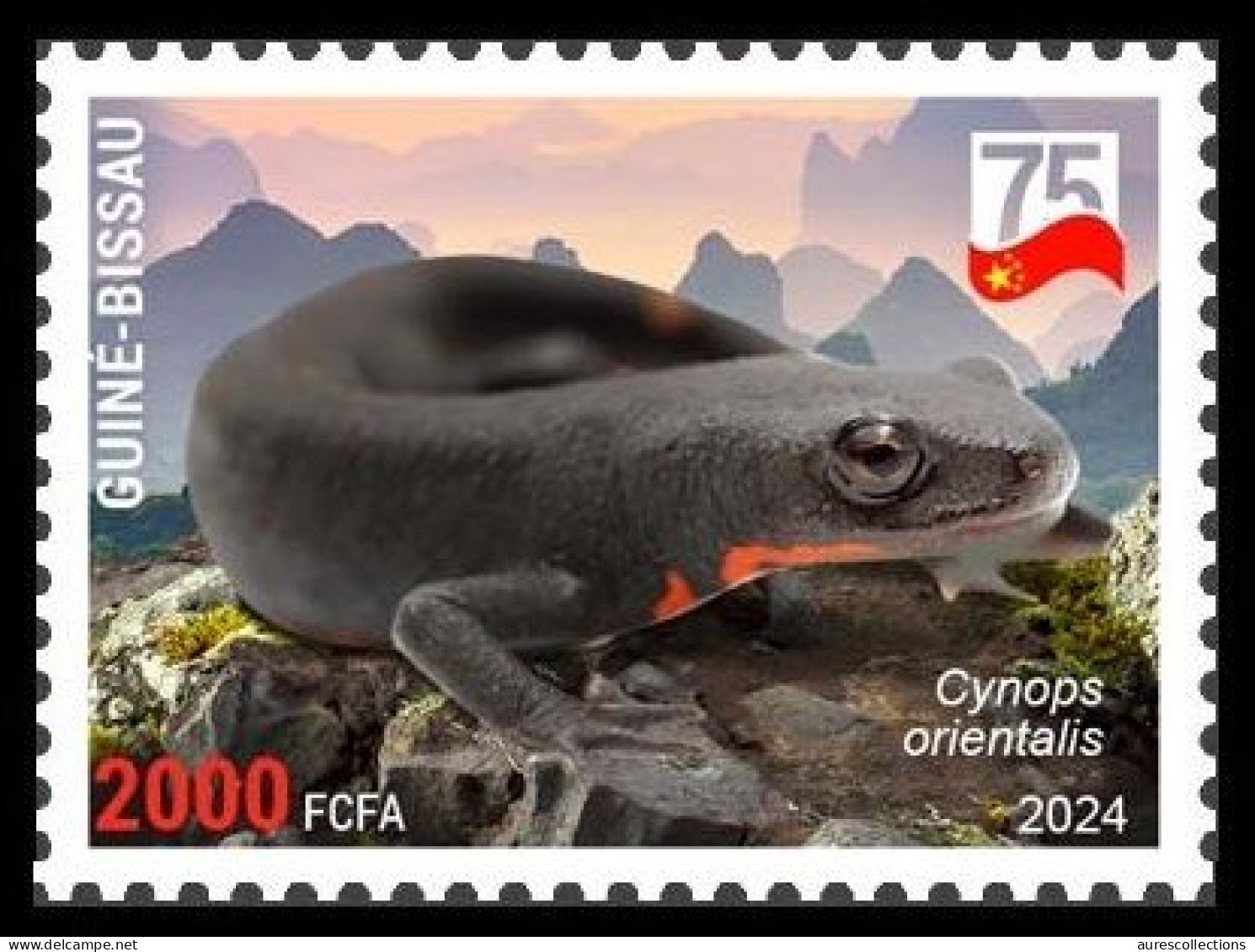 GUINEA BISSAU 2024 STAMP 1V - CHINA AMPHIBIANS & REPTILES - CHINESE FIRE BELLY NEWT TRITON - CHINA 75 ANNIV. - MNH - Otros & Sin Clasificación