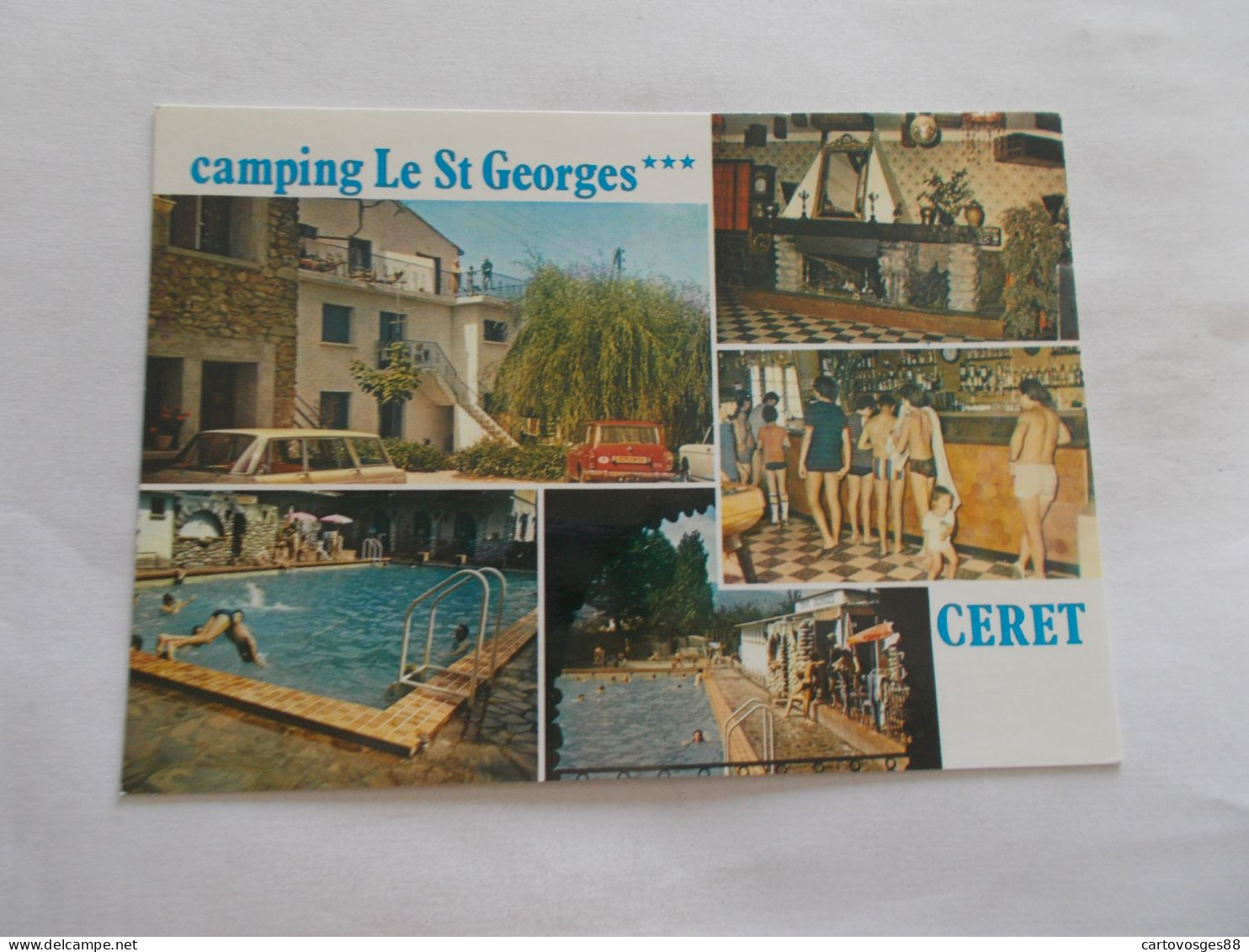 CERET  ( 66 Pyrenees Orientales )  CAMPING SAINT GEORGES  EN VALLESPIR  VUES ANIMEES - Ceret