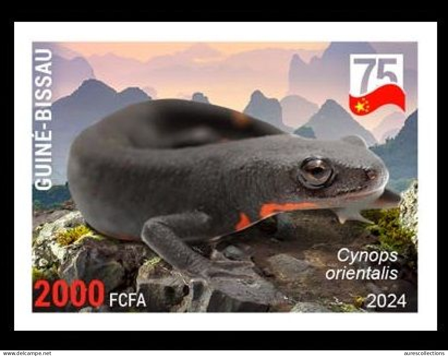 GUINEA BISSAU 2024 IMPERF STAMP 1V - CHINA AMPHIBIANS & REPTILES - CHINESE FIRE BELLY NEWT TRITON - CHINA 75 ANNIV - MNH - Sonstige & Ohne Zuordnung