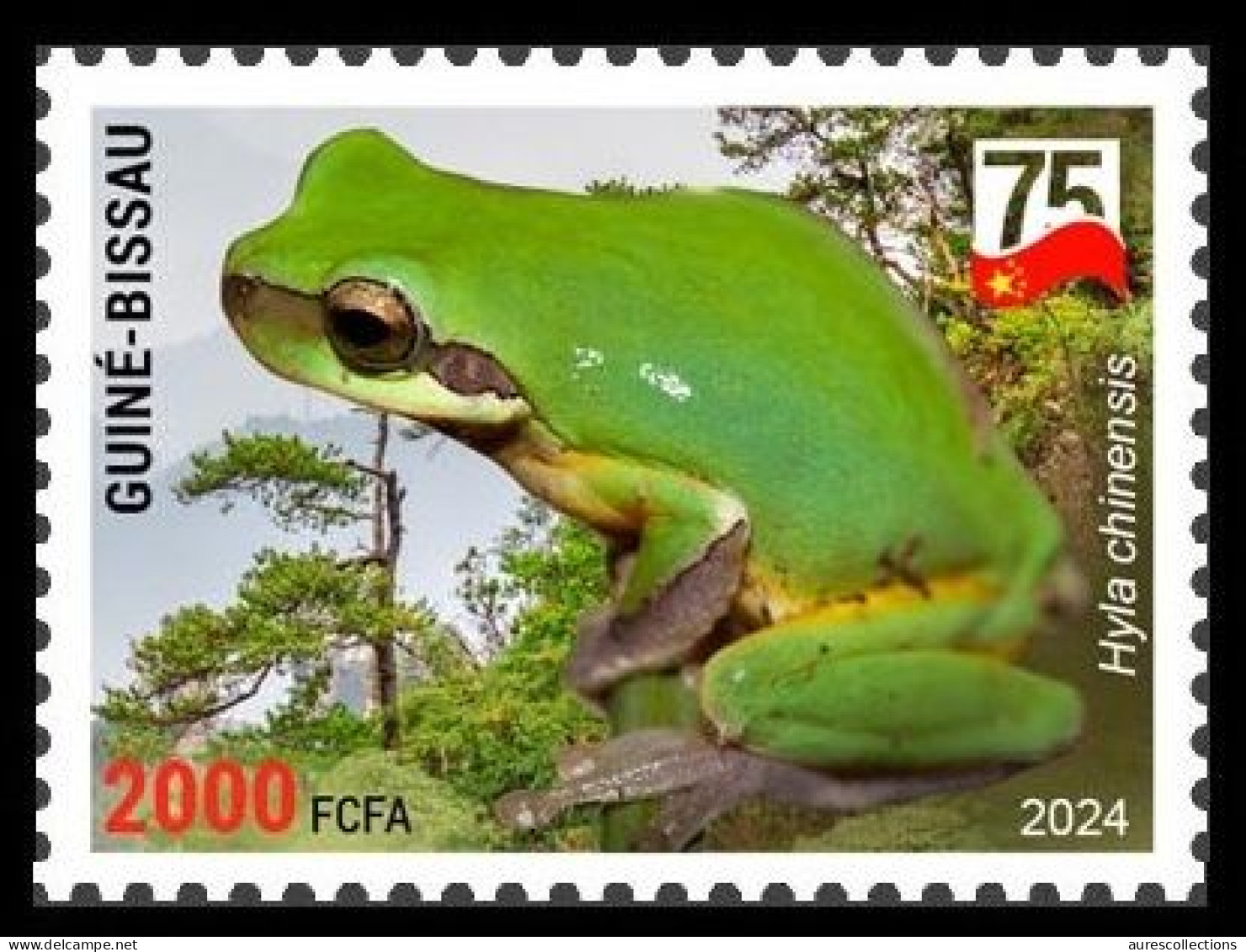 GUINEA BISSAU 2024 STAMP 1V - CHINA AMPHIBIANS & REPTILES - CHINESE TREE FROG FROGS GRENOUILLES - CHINA 75 ANNIV. - MNH - Ranas