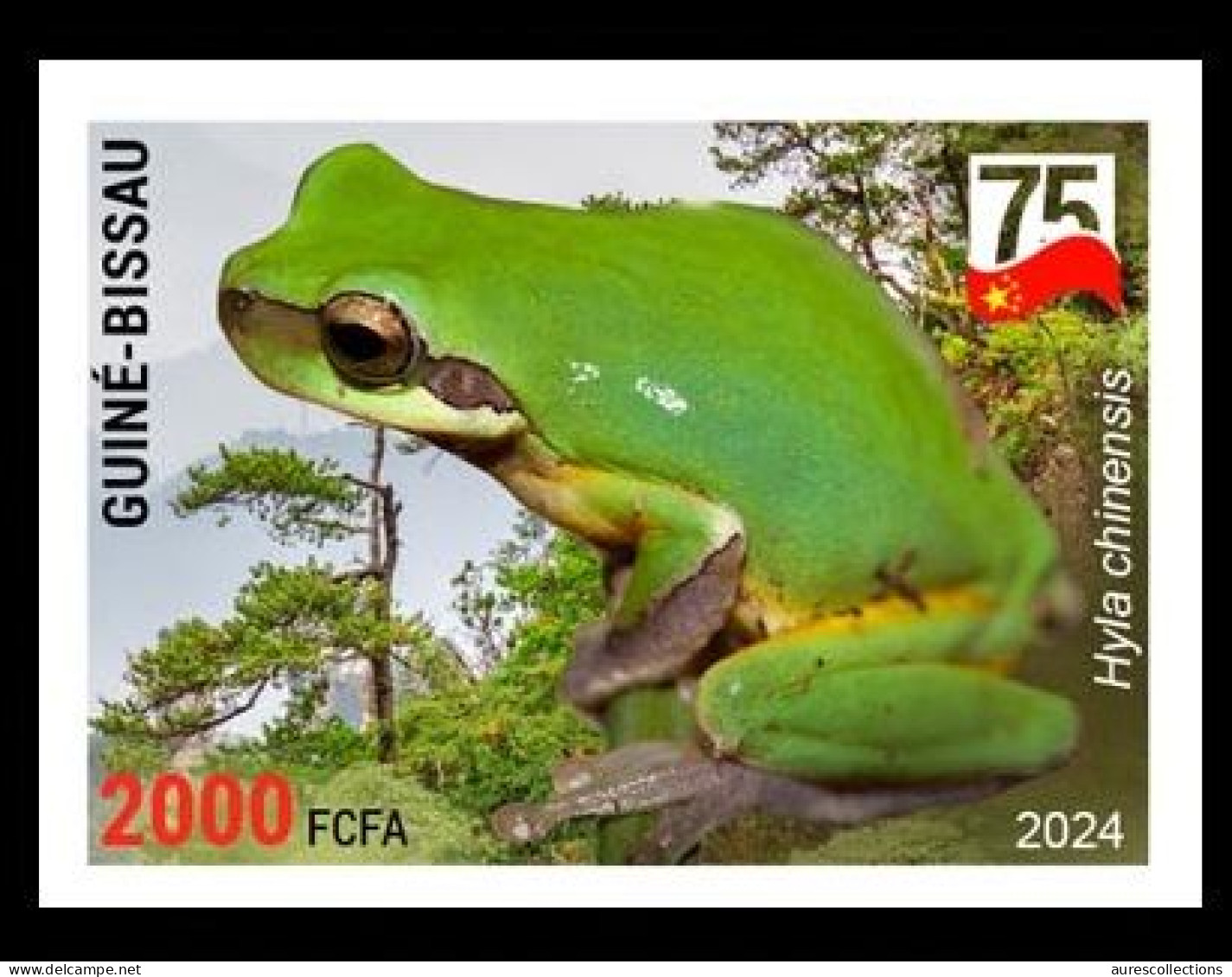 GUINEA BISSAU 2024 IMPERF STAMP 1V - AMPHIBIANS & REPTILES - CHINESE TREE FROG FROGS GRENOUILLES - CHINA 75 ANNIV. - MNH - Ranas