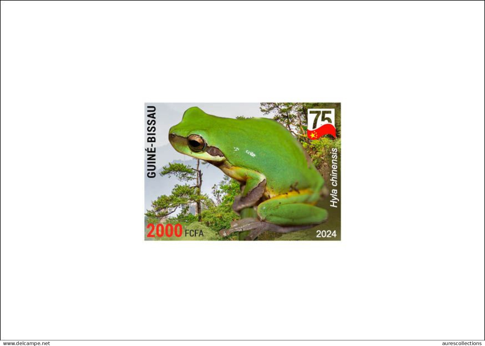 GUINEA BISSAU 2024 DELUXE PROOF - CHINA AMPHIBIANS & REPTILES - CHINESE TREE FROG FROGS GRENOUILLES - CHINA 75 ANNIV. - Frösche