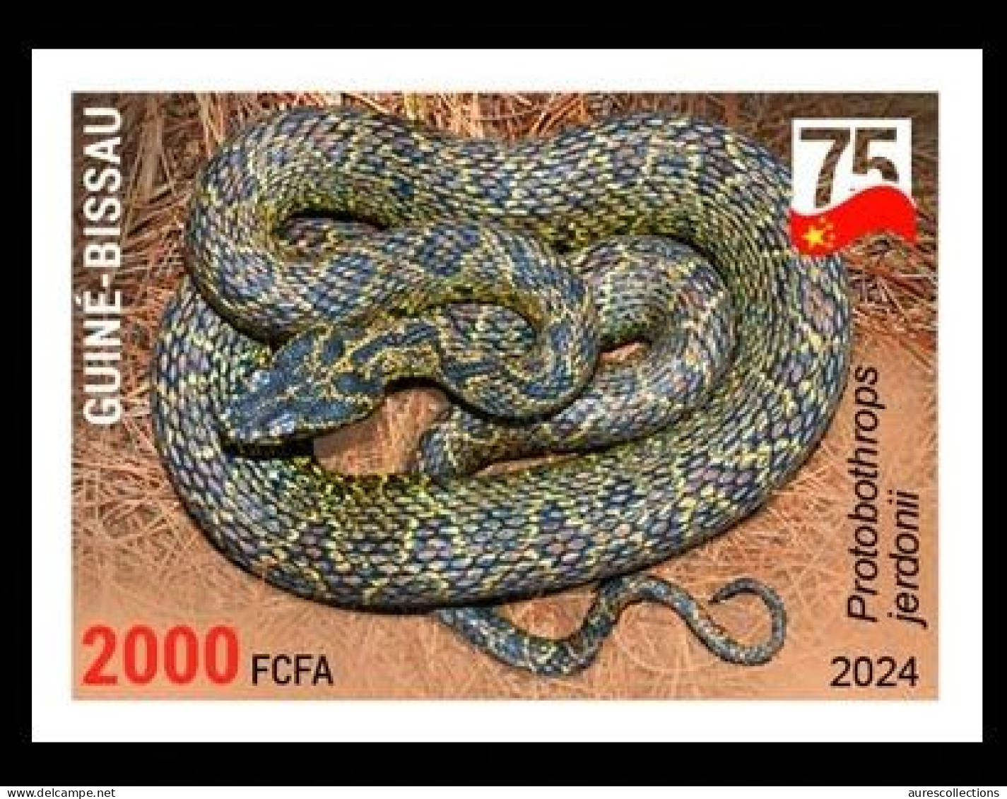 GUINEA BISSAU 2024 IMPERF STAMP 1V - CHINA AMPHIBIANS & REPTILES - SNAKE SNAKES VIPER SERPENTS - CHINA 75 ANNIV. - MNH - Serpents