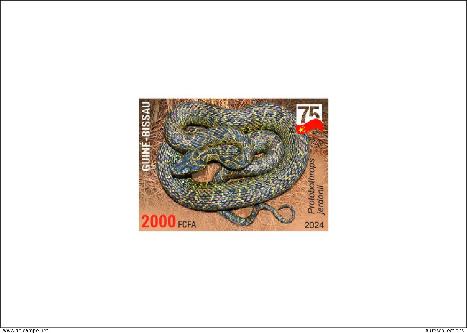 GUINEA BISSAU 2024 DELUXE PROOF - CHINA AMPHIBIANS & REPTILES - SNAKE SNAKES VIPER SERPENTS - CHINA 75 ANNIV. - Serpientes