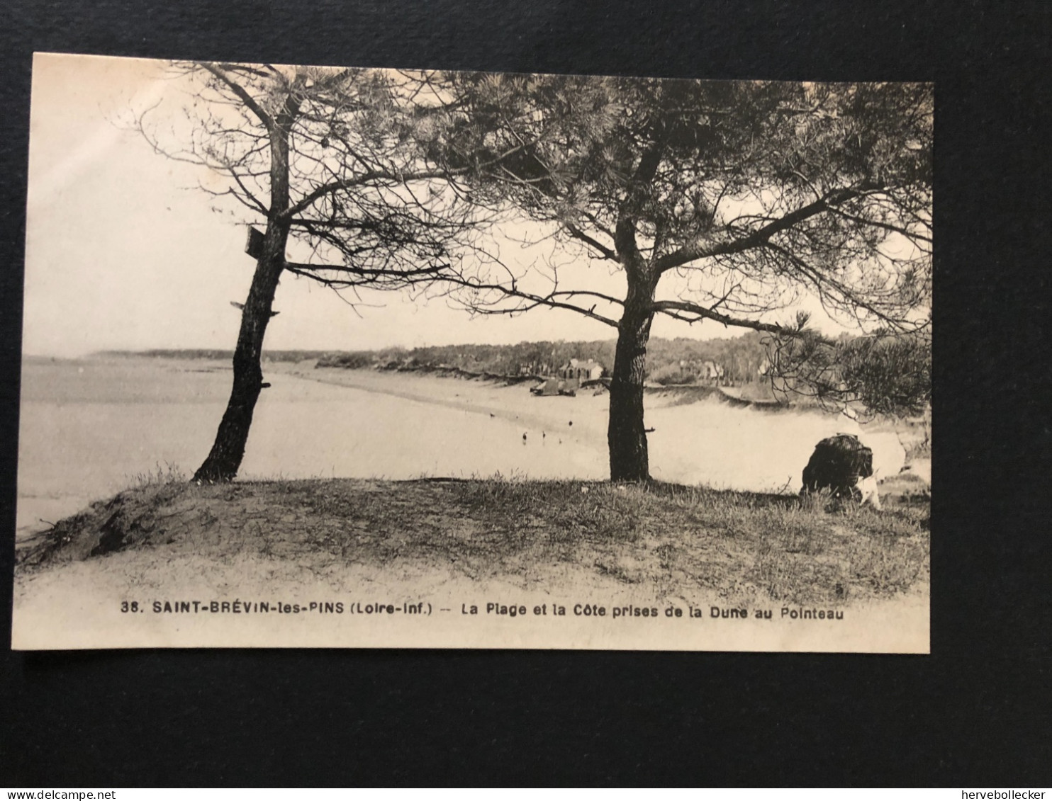 Saint Brévin Les Pins - La Plage Et La Côte Prises De La Dune Au Pointeau - 44 - Saint-Brevin-l'Océan