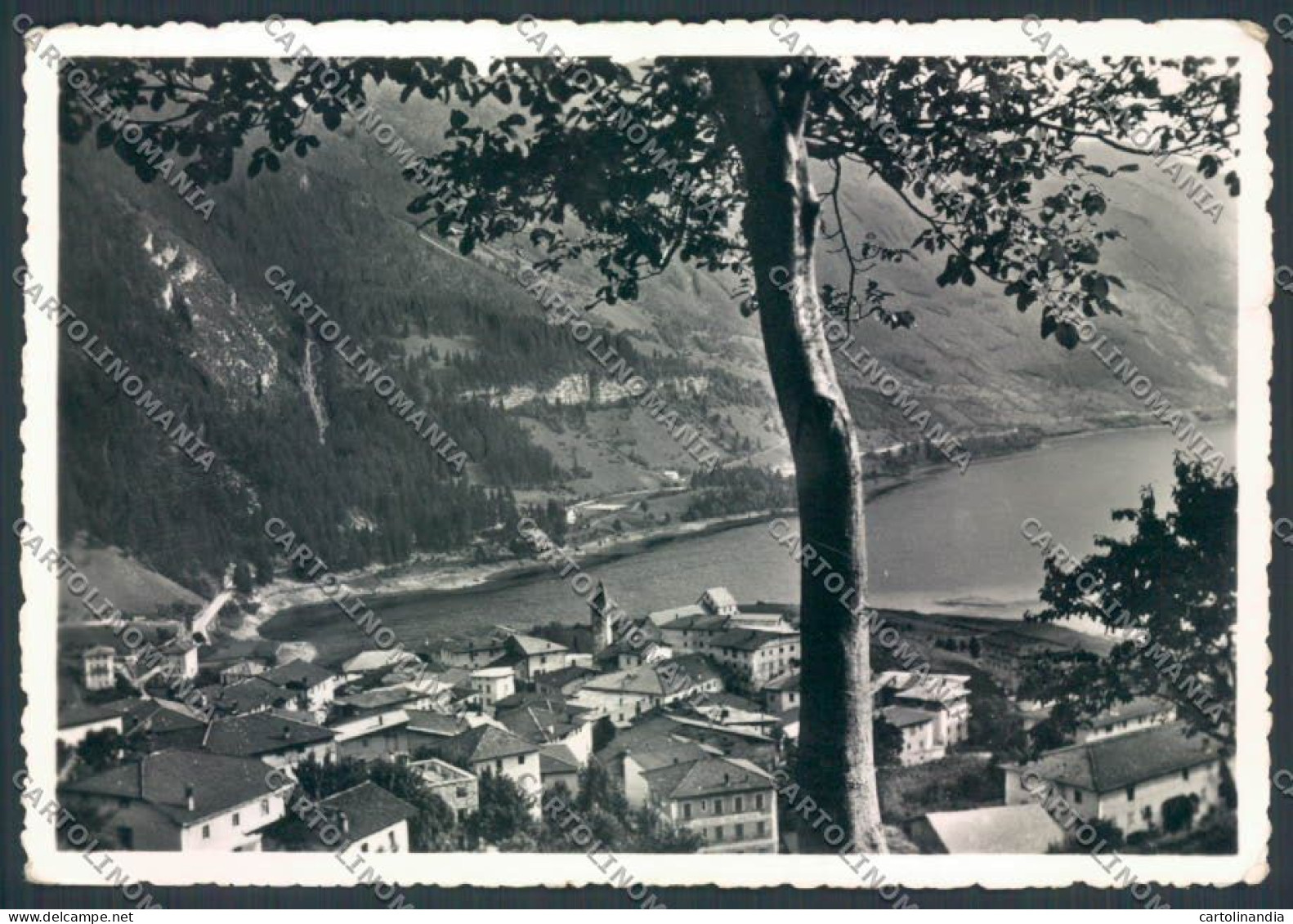 Trento Molveno Foto FG Cartolina ZF2281 - Trento