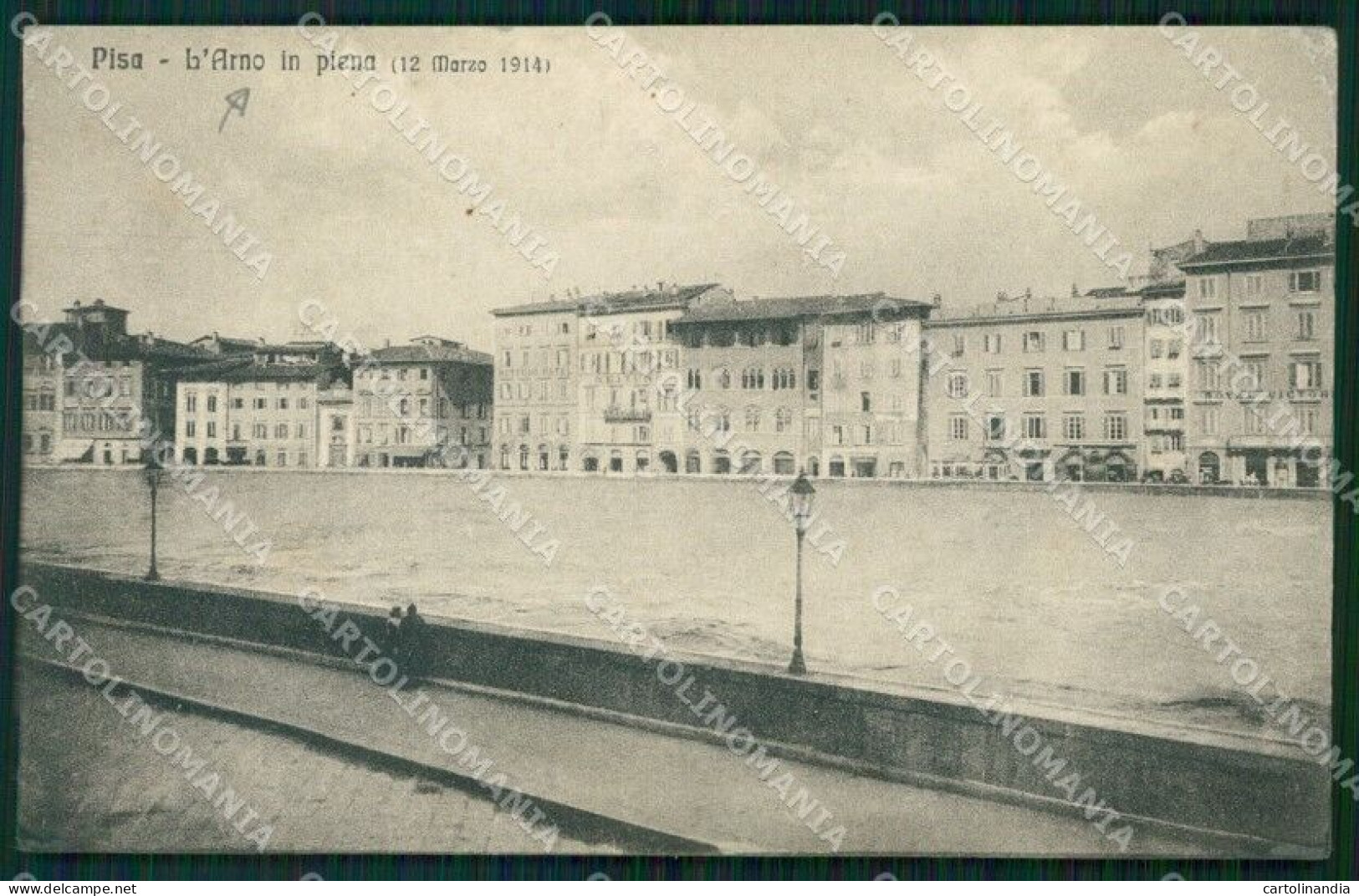 Pisa Città Alluvione 1914 Cartolina WX1189 - Pisa