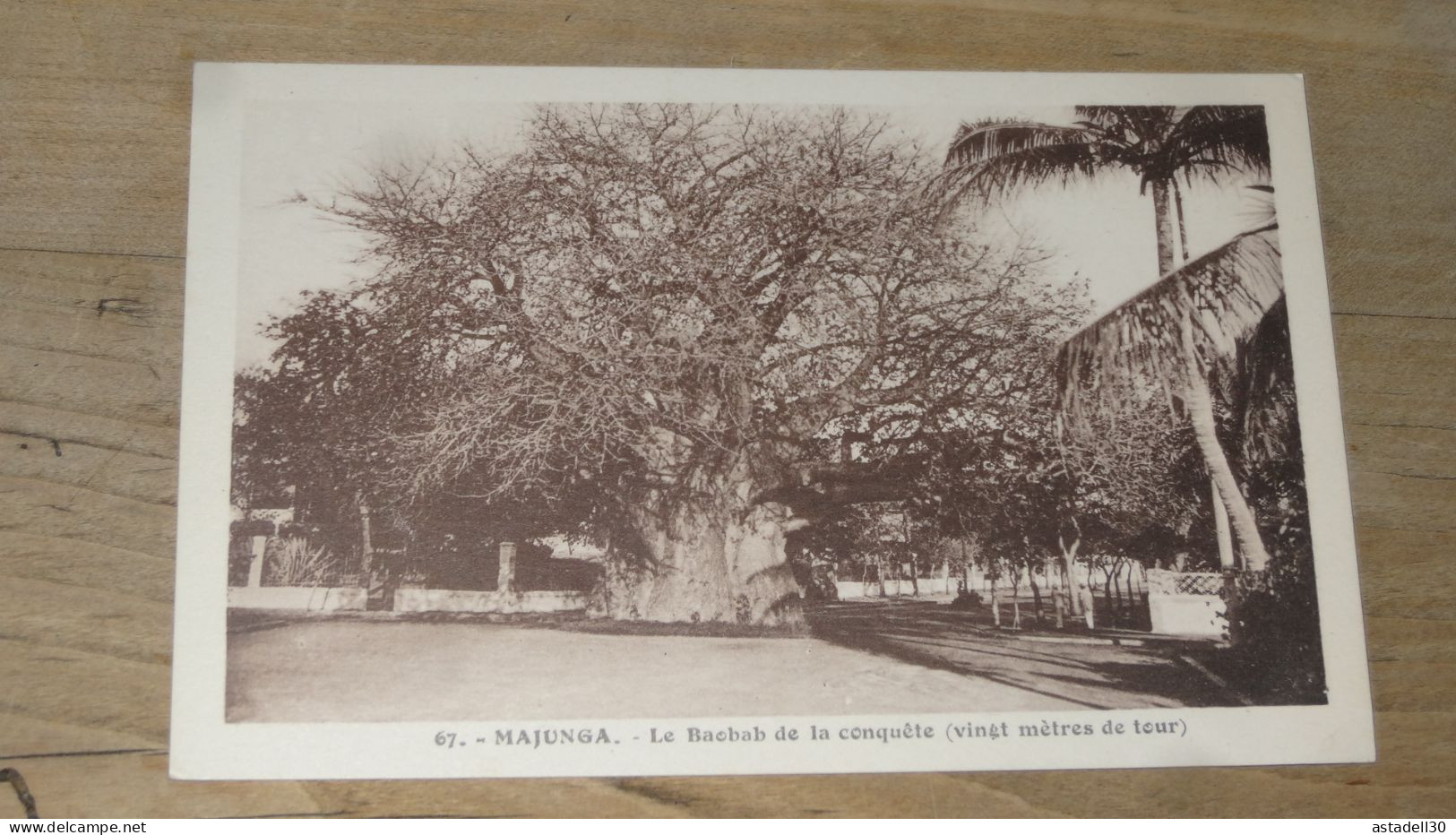 MAJUNGA, Le Baobab De La Conquete  ................ BE-17968 - Madagaskar