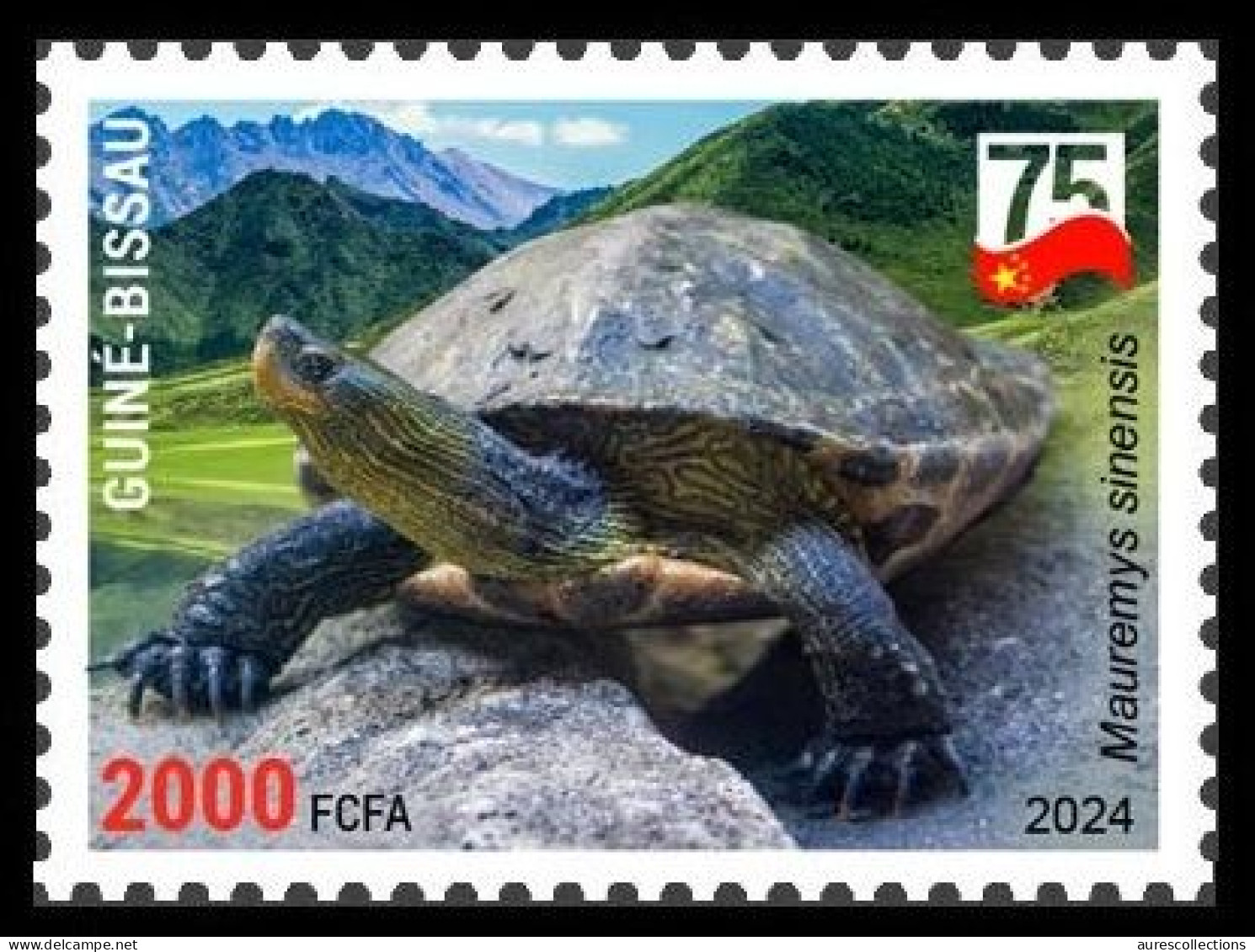 GUINEA BISSAU 2024 STAMP - CHINA AMPHIBIANS & REPTILES - CHINESE STRIPE-NECKED TURTLE TURTLES - CHINA 75 ANNIV. - MNH - Schildpadden