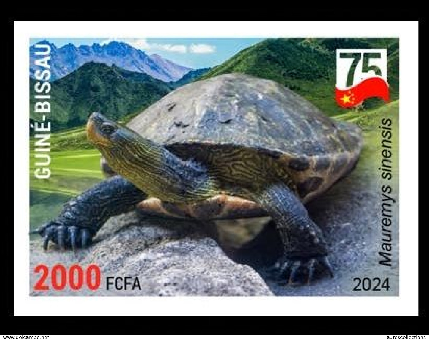 GUINEA BISSAU 2024 IMPERF STAMP - AMPHIBIANS & REPTILES - CHINESE STRIPE-NECKED TURTLE TURTLES - CHINA 75 ANNIV. - MNH - Tortugas