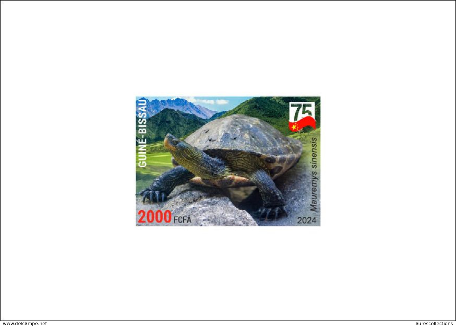 GUINEA BISSAU 2024 DELUXE PROOF - CHINA AMPHIBIANS & REPTILES - CHINESE STRIPE-NECKED TURTLE TURTLES - CHINA 75 ANNIV. - Schildkröten