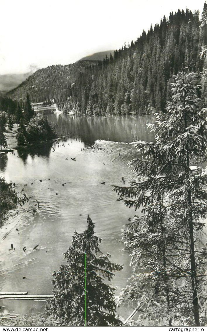 Postcard Romania Lacul Rosu 1971 - Romania