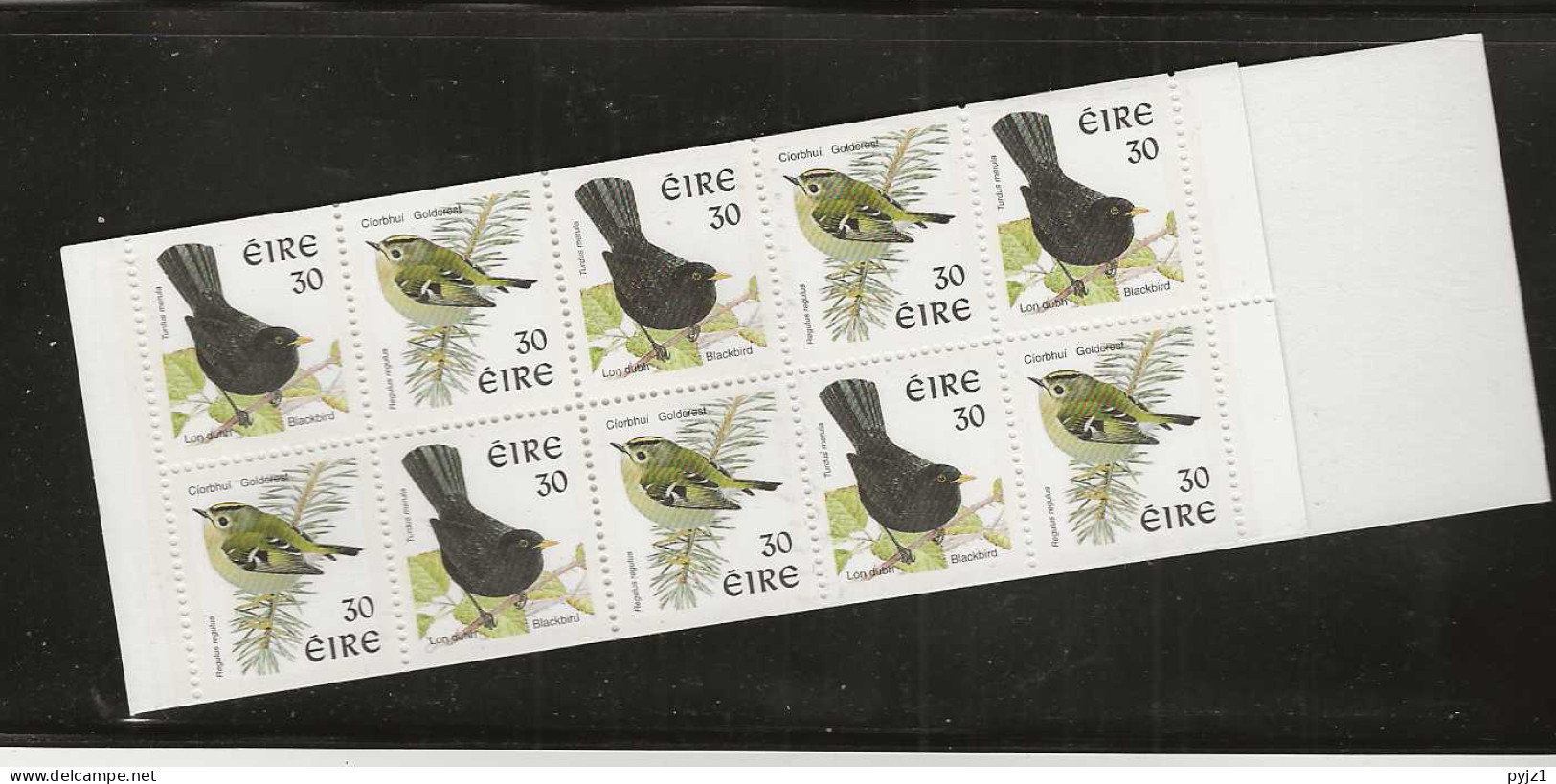 1998 MNH  Ireland, Booklet  Phosphor (issued 1999) Postfris** - Markenheftchen