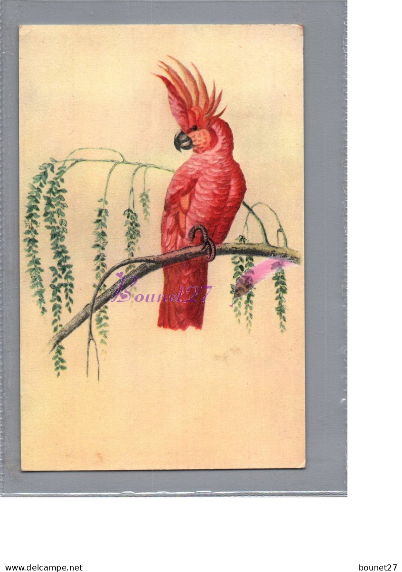 CPSM - Illustration Oiseau Bird - Un Kakatoes à Huppe Jaune Comité National De L'enfance 1981 Perroquet - Vögel