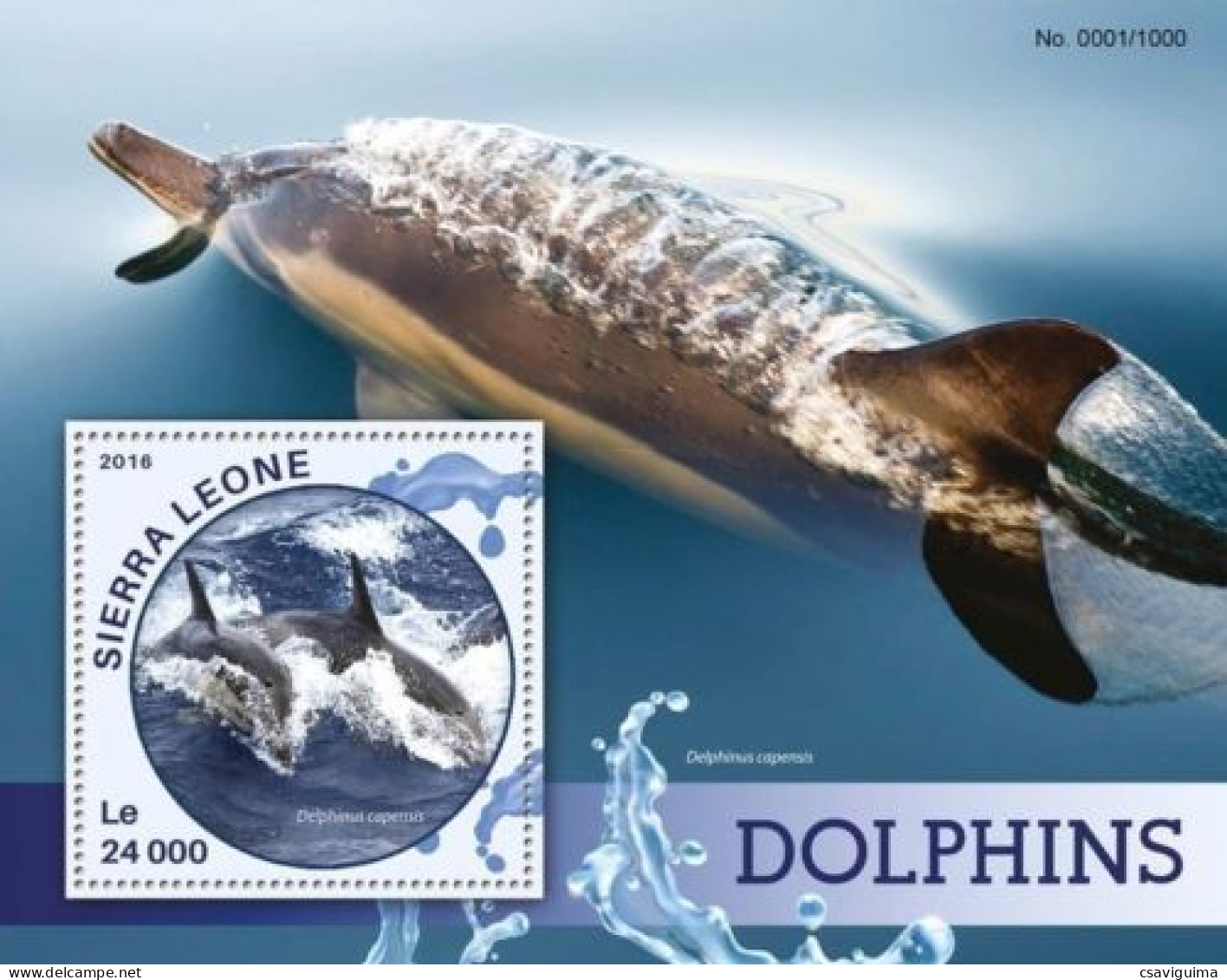 Sierra Leone - 2016 - Dolphins - Yv Bf 877 - Delfines