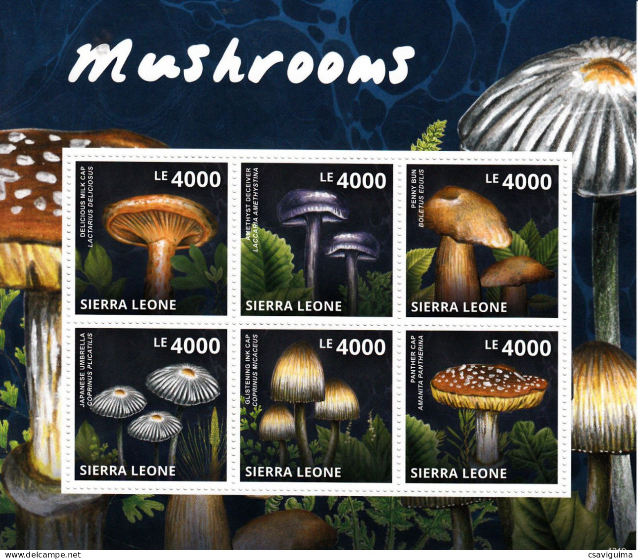 Sierra Leone - 2013 - Mushrooms - Yv 4867/72 - Paddestoelen