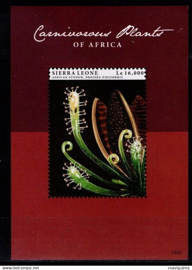 Sierra Leone - 2012 - Carnivorous Plants  - Yv Bf 663 - Andere & Zonder Classificatie