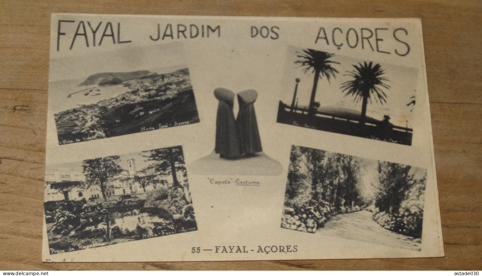 Fayal Jardim Dos ACORES ................ BE-17988 - Açores