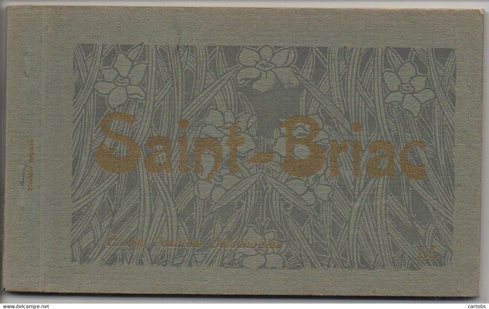 35 SAINT-BRIAC Carnet De 20 Cartes - Saint-Briac