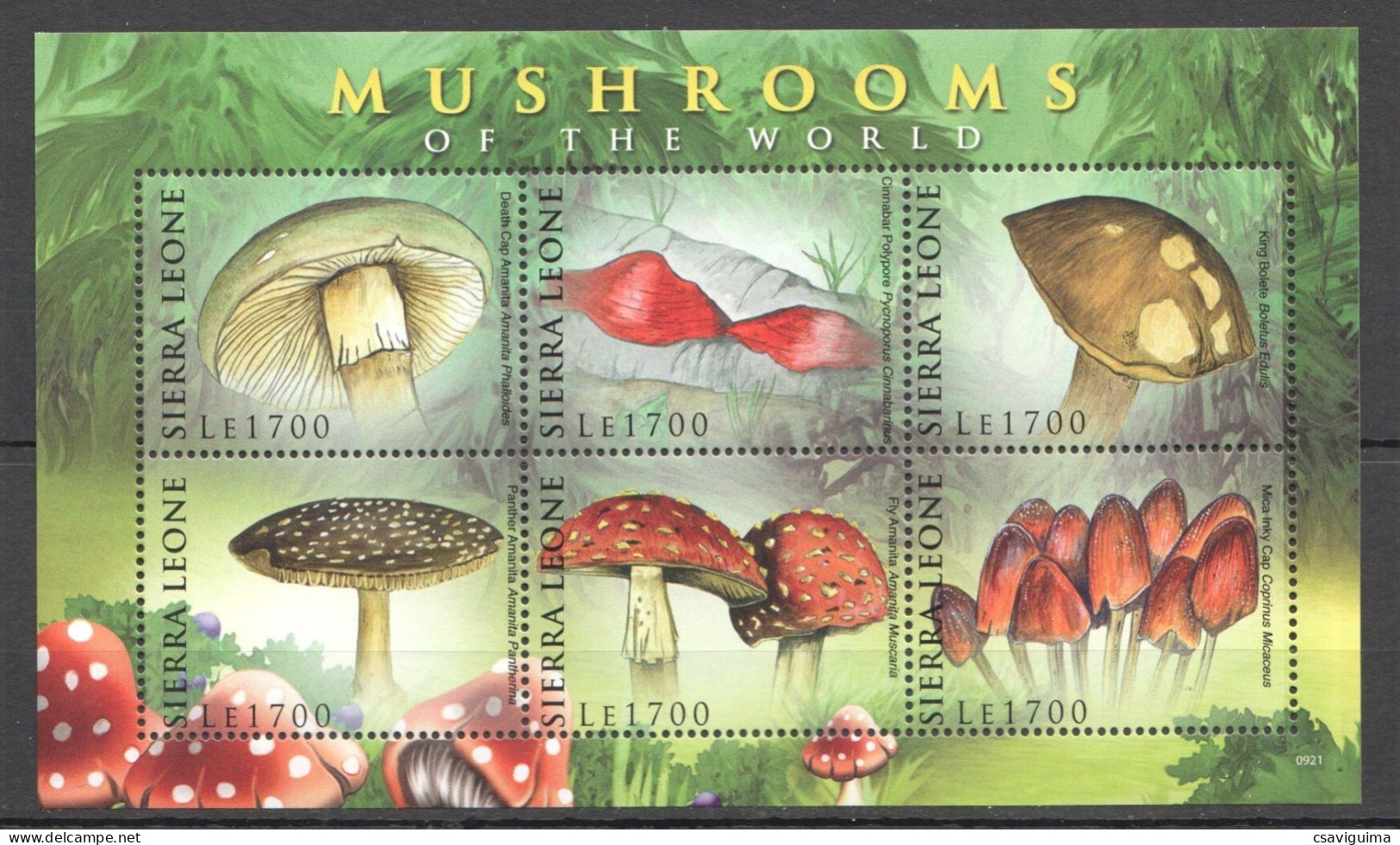 Sierra Leone - 2009 - Mushrooms - Yv 4430/35 - Paddestoelen