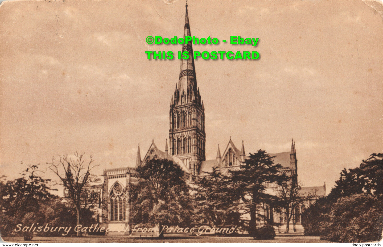 R392016 Salisbury Cathedral From Palace Grounds. F. Frith. No. 19750 - Monde