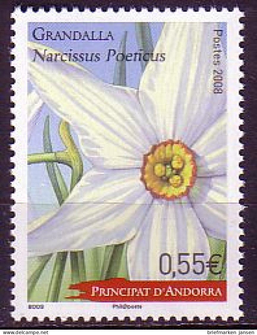 Andorra Franz Mi.Nr. 681 Blumen, Narzisse (0,55) - Altri & Non Classificati