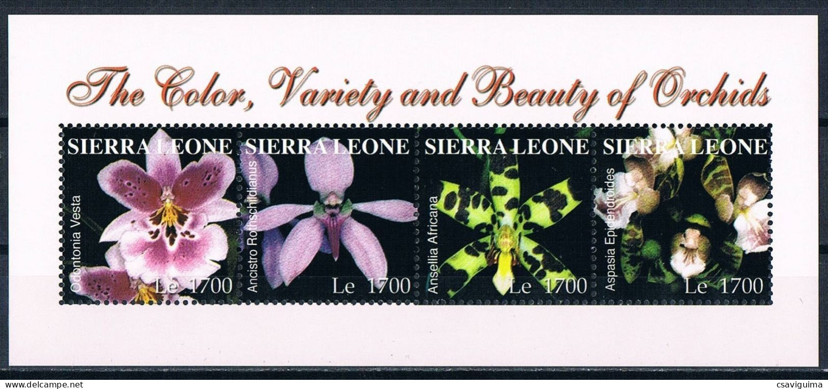 Sierra Leone - 2004 - Flowers: The Color, Variety And Beauty Of Orchids - Yv 3912/15 - Orchidées